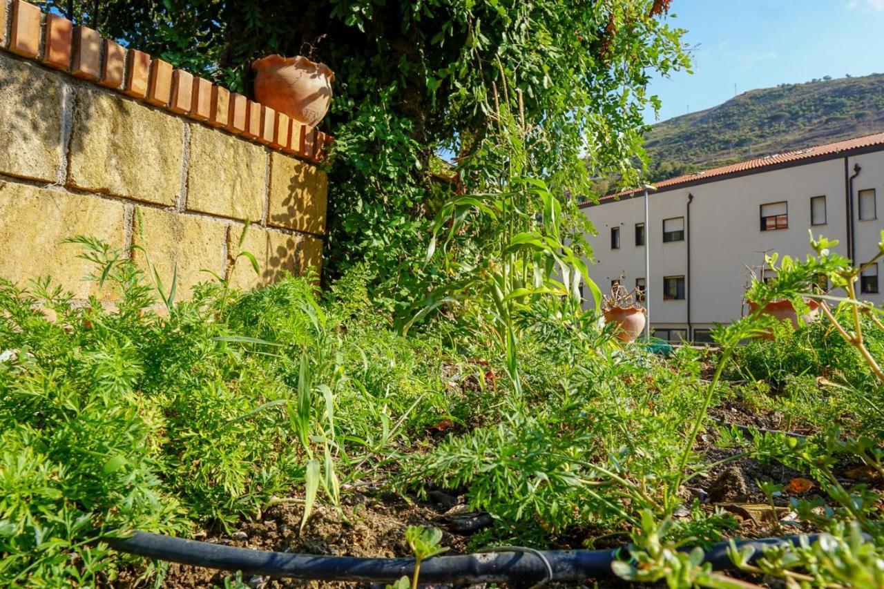 Villa Caterina - Solemar Sicilia チェファル エクステリア 写真