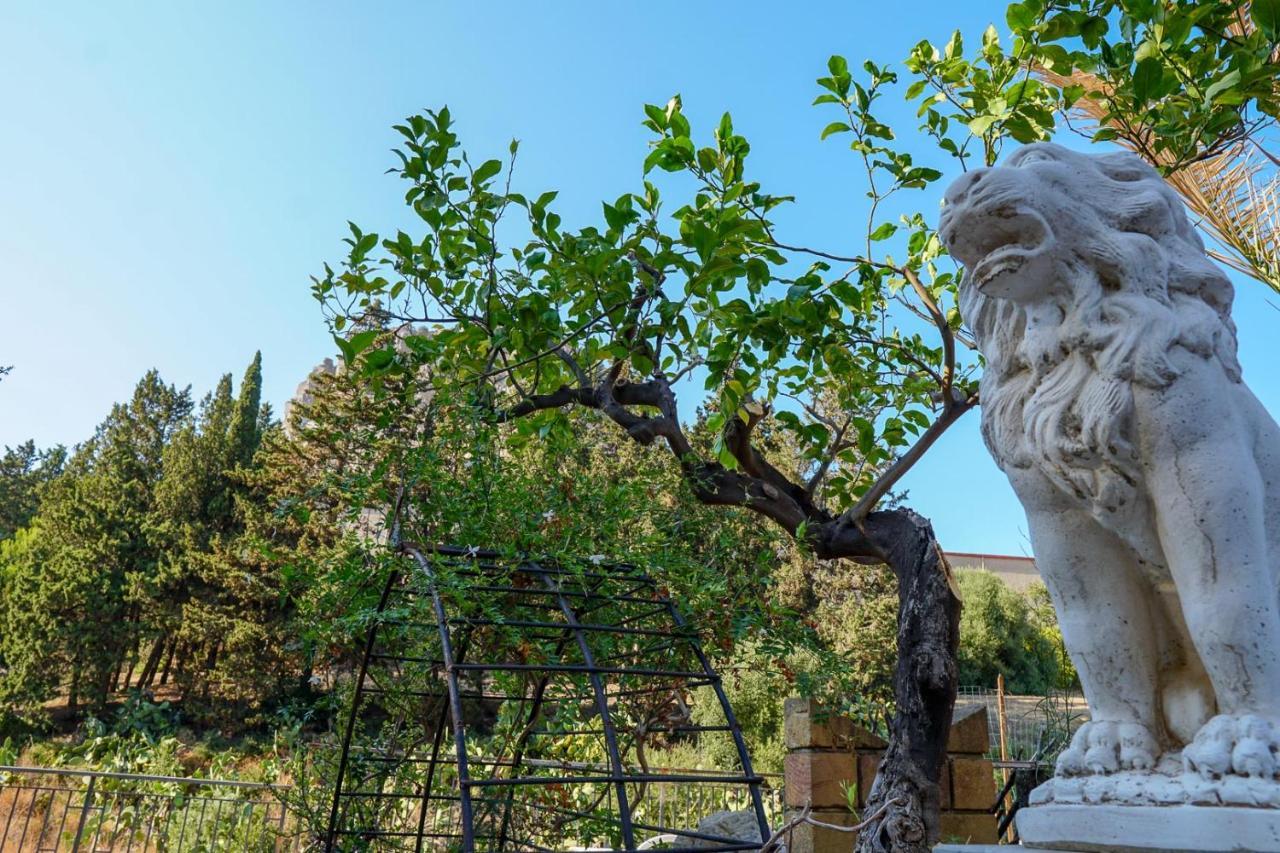 Villa Caterina - Solemar Sicilia チェファル エクステリア 写真